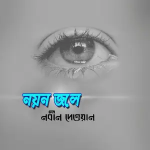Noyon Jole image