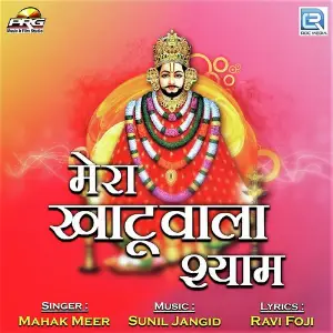Mera Khatuwala Shyam image