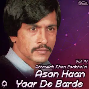 Asan Haan Yaar De Barde, Vol. 14 image
