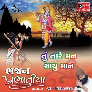 Tu Tare Man Sachu Maan image