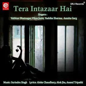 Tere Intazar Hai image