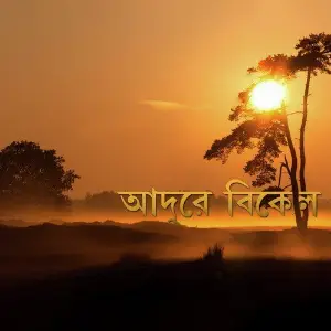 Adure Bikel image