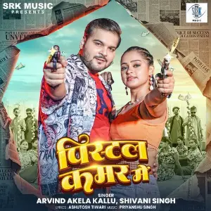 Pistol Kamar Mein image