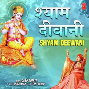 Shyam Deewani image