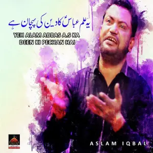 Yeh Alam Abbas A.s Ka Deen Ki Pechan Hai image