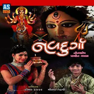 Shri Navdurga image