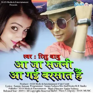 Aa Ja Sajani Aa Gaee image