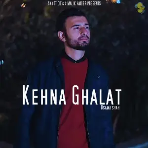 Kehna Ghalat image