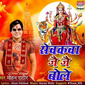 Sevakva Jai Jai Bole image