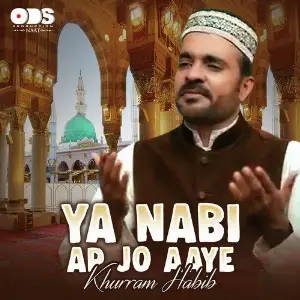 Ya Nabi Ap Jo Aaye - Single image
