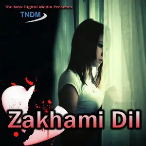 Zakhmi Dil image