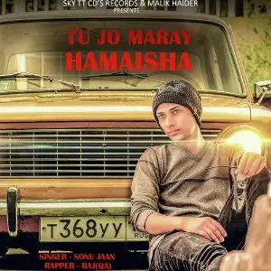 Tu Jo Maray Hamaisha (feat. RAJ(QA)) image