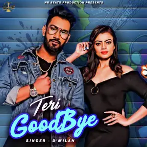 Teri Goodbye - Single image