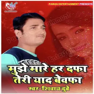 Mujhe Mare Har Dafa Teri Yad Bewafa image