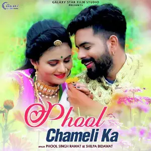 Phool Chameli Ka - Single image