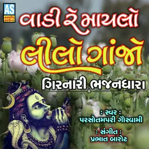 Vadi Re Maylo Lilo Ganjo image