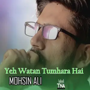 Yeh Watan Tumhara Hai image