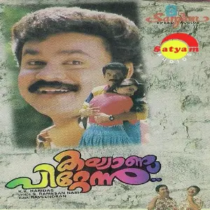 Kalyaanappittennu image