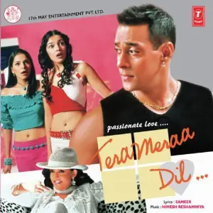 Tera Meraa Dil image