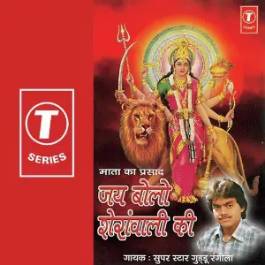 Jai Bolo Sheranwali Ki image