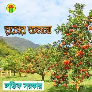 Rosher Komola image