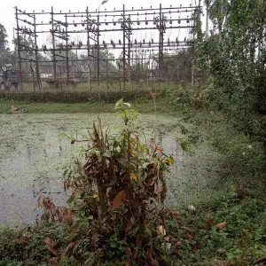 Phuisa image