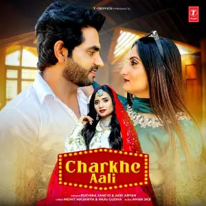 Charkhe Aali image