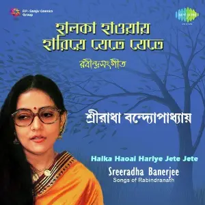 Halka Haoai Hariye Jete Jete image