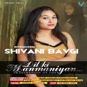 Dil Ki Manmaniyan - Single image