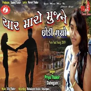 Yaar Maro Muj Ne Chhodi Gayo image