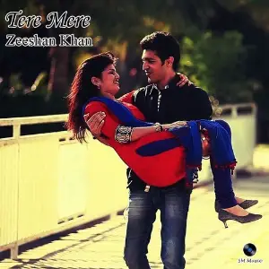 Tere Mere image