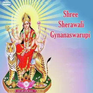 Shree Sherawali Gynanaswarupi image