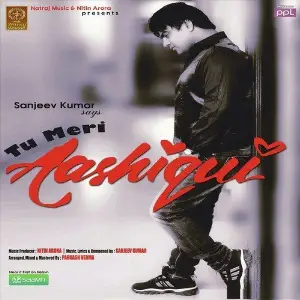 Tu Meri Aashiqui image