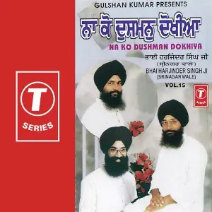 Na Ko Dushman Dhokhiya (Vol. 15) image