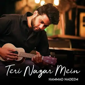 Teri Nazar Mein image