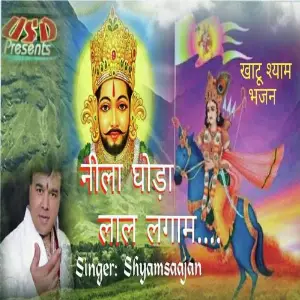 Neela Ghoda Laal Lagaam image