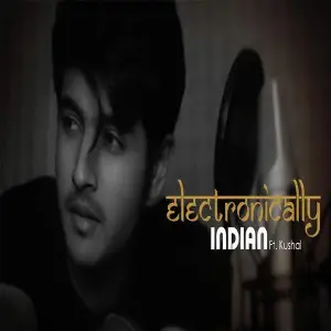 Electronically Indian image