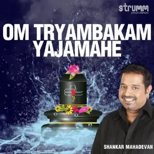 Om Tryambakam Yajamahe image