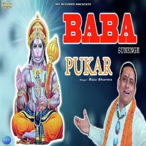 Baba Sunenge Pukar - Single image