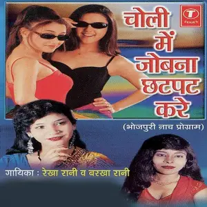 Choli Mein Jobana Chatpat Kare image
