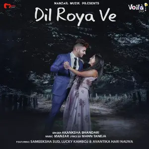Dil Roya Ve image