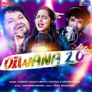 Diwana 2.0 image