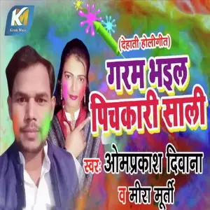 Garm Bhail Pichkari Sali image