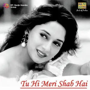 Tu Hi Meri Shab Hai image