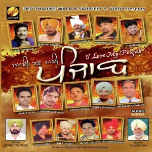 I Love My Punjab image