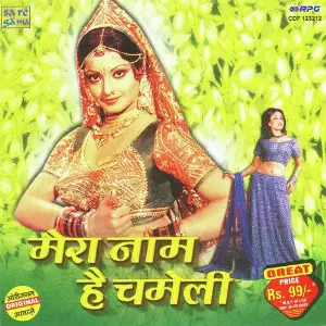 Mera Naam Hai Chameli image