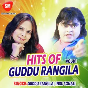 Hits Of Guddu Rangila Vol 1 image
