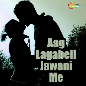 Aag Lagabeli Jawani Me image