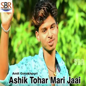 Ashik Tohar Mari Jaai image
