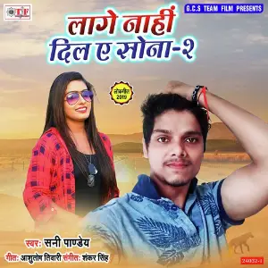 Lage Nahi Dil Ye Sona 2 image